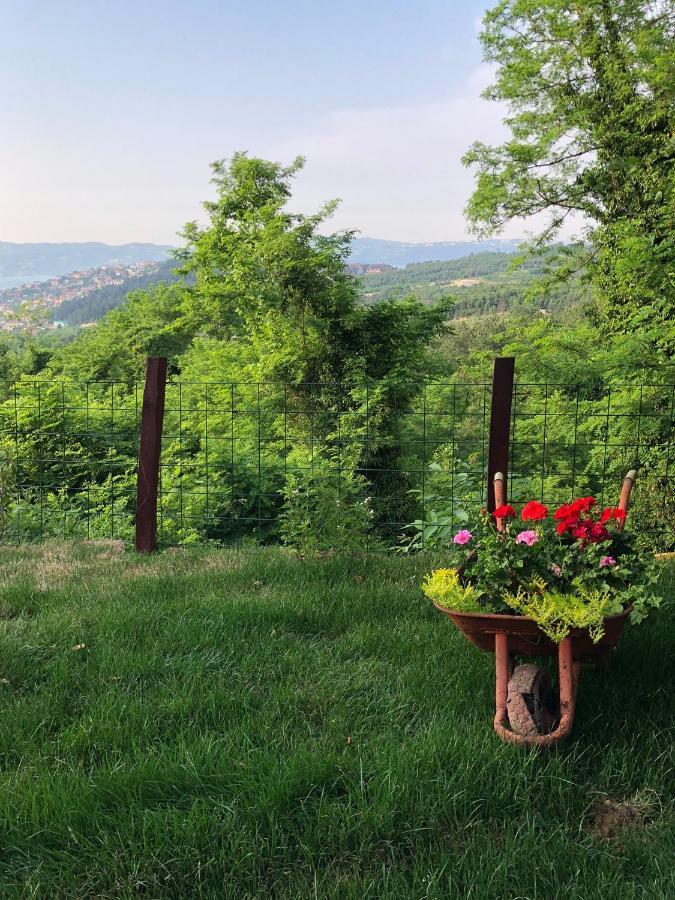 Dag Evi ,2 Oda, Lake View, Fireplace Jakuzi,6 Person Sapanca Luaran gambar